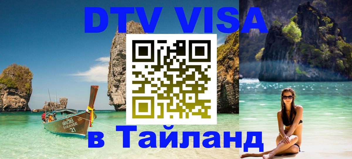 Оформление DTV визы под ключ: стоимость и тарифы, только загранпаспорт - Ульяновск  18.11.2025 